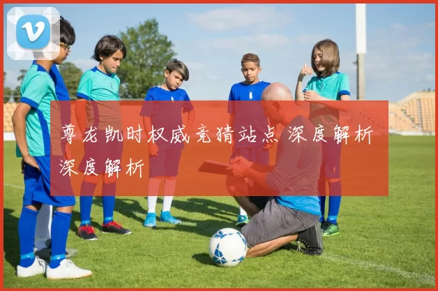 尊龙凯时权威竞猜站点 深度解析 深度解析