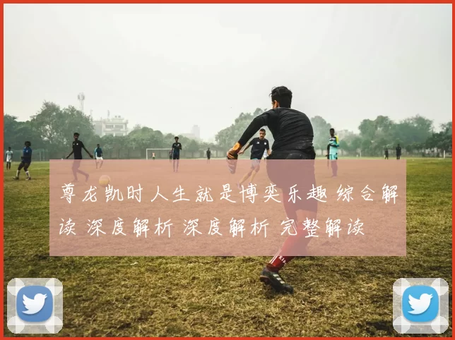 尊龙凯时人生就是博奕乐趣 综合解读 深度解析 深度解析 完整解读