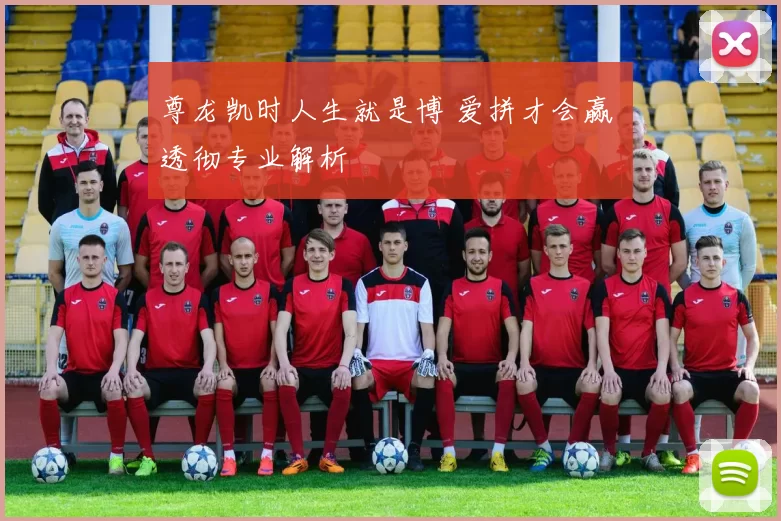 尊龙凯时人生就是博 爱拼才会赢 透彻专业解析