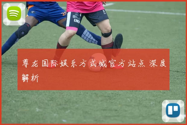 尊龙国际娱乐方式城官方站点 深度解析