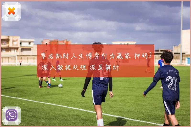 尊龙凯时人生博弈行为赢家 押码2 深入数据处理 深度解析