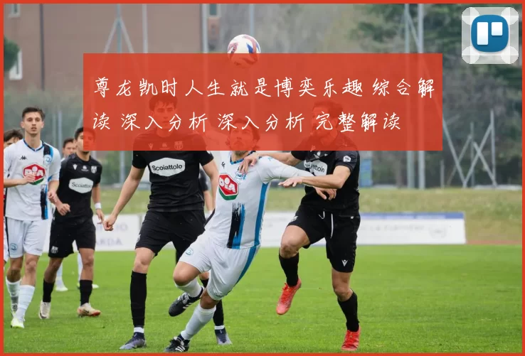 尊龙凯时人生就是博奕乐趣 综合解读 深入分析 深入分析 完整解读