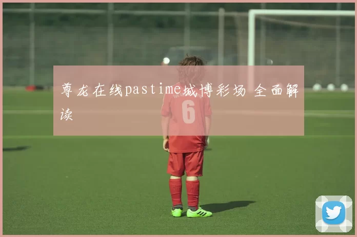 尊龙在线pastime城博彩场 全面解读