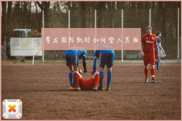 尊龙国际凯时如何登入页面