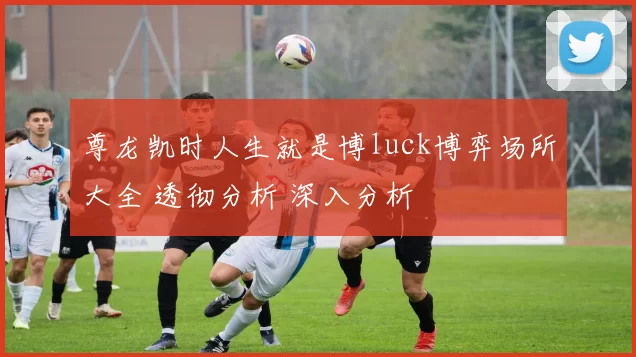 尊龙凯时人生就是博luck博弈场所大全 透彻分析 深入分析
