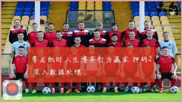 尊龙凯时人生博弈行为赢家 押码2 深入数据处理