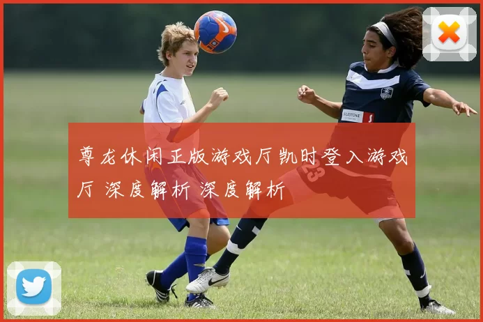 尊龙休闲正版游戏厅凯时登入游戏厅 深度解析 深度解析