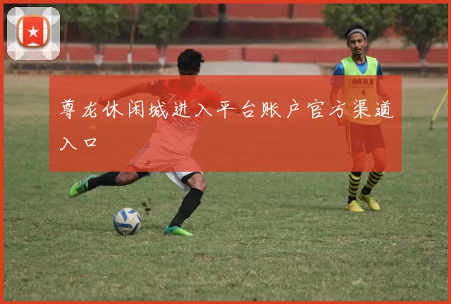 尊龙休闲城进入平台账户官方渠道入口