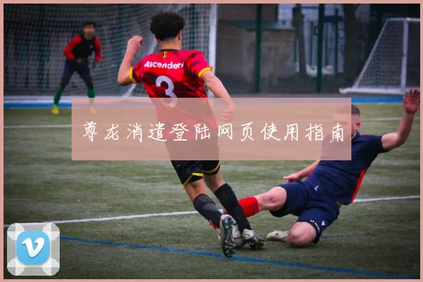 尊龙消遣登陆网页使用指南