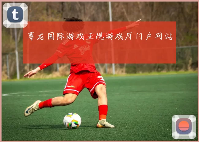 尊龙国际游戏正规游戏厅门户网站