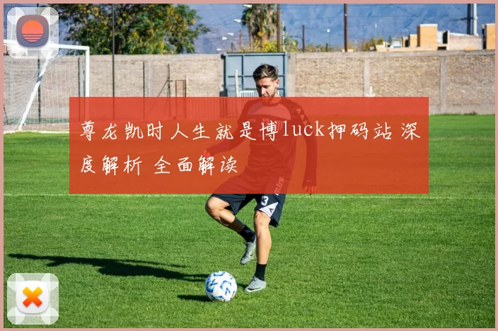 尊龙凯时人生就是博luck押码站 深度解析 全面解读