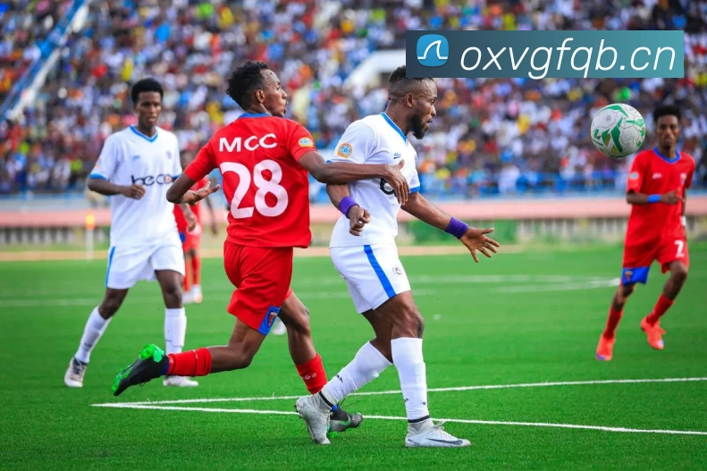 尊龙凯时人生就是博APP 封面图