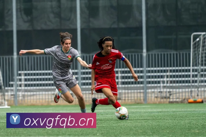 数据防护可视化